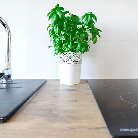 Sydonia - Unislawy 公寓 *